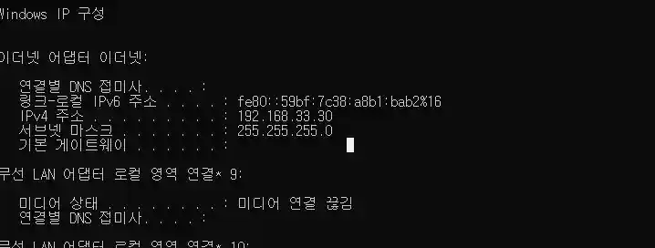 Windows ipconfig 결과에서 Ethernet IPv4 192.168.33.30과 subnet mask 255.255.255.0을 확인한 화면